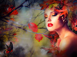 HD all autumn colors wallpapers