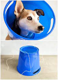 The cone of shame certainly gets the job done, but sleeping, eating, drinking, and generally being a dog can be tough while wearing a giant white lampshade. 7 Diy Dog Cone Ideas That Are Easy To Make Dog E Collars