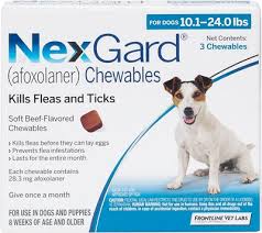Nexgard Chewable Tablets For Dogs 10 1 24 Lbs 3 Treatments Blue Box