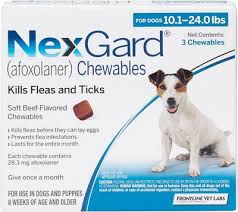 nexgard chewable tablets for dogs 10 1 24 lbs 3 treatments blue box