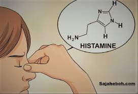 Elakkan menghembus hidung dengan kuat. Petua Hilangkan Resdung Dan Hidung Tersumbat Yang Cukup Berkesan 8 Petua