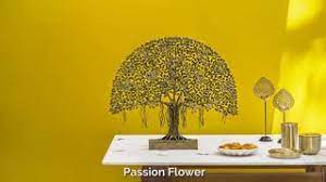 Albania algérie andorra armenia argentina aruba australia azerbaijan bahrain belgium беларусь/belarus bosnia and herzegovina brasil българия / bulgaria canada chile mainland china / 中国大陆 hong kong sar / 香港特別行政區 macau sar / 澳門特別行政區 taiwan, china / 中國台灣 colombia costa rica cyprus česká republika danmark deutschland / germany ecuador. Asian Paints Colour Of The Year 2018 Youtube