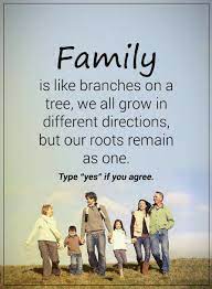 Family like branches on a tree we all grow in different directions yet our roots remain as. Pin On Quotes