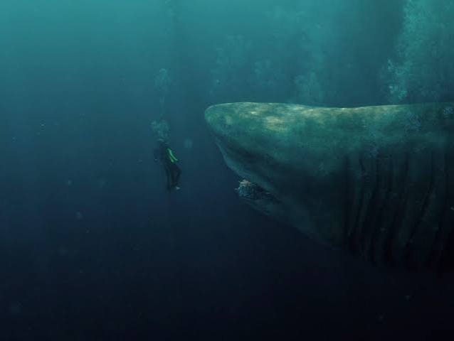 The Meg review – Jason Statham is left all at sea | Action and adventure  films | The Guardian