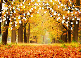 Check spelling or type a new query. 10x8ft Autumn Forest Trees Fall Leaves Lights Photo Background Vinyl Backdrop Lb Ebay
