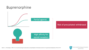 Buprenorphine is marketed as parenteral, sublingual, and transdermal formulations. Buprenorphine For Opioid Use Disorder Mechanism Of Action Psychopharmacology Institute
