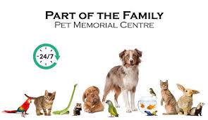You always considered your pet to be a part of the family, and it's becoming easier to find places that allow you to get a photo of your pet with santa. Part Of The Family Pet Memorial Centre St Albert Alberta Licenced Funeral Services For Pets Pet Cremation Pet Cremation Urns Cremation Jewelry Memorial Products Memory Wall Pet Loss Moulded Impressions