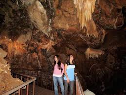 Image result for Chascanum