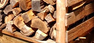 Just a day where i explore some free firewood options. Which Wood Is Best For Firewood Tips For Eco Friendly Heat Ecohome