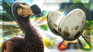 Ark Survival Evolved Server The Dodo Egg Farm 57 Farm Eggs Ark Survival