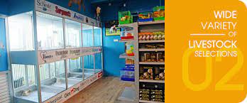 Oh, and if your canine needs an afternoon of grooming or a place to stay overnight, note that corgi & the gang runs a pet shop and hotel as well. Cty Aquatic Pets Brand Shop