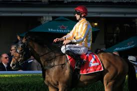 Horse racing: Mornington trainers David and Coral Feek celebrate another  upset win at Randwick