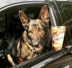 K9 Salute ✪ Treats of Honor