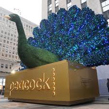 Maybe you would like to learn more about one of these? Nbc S Peacock Streaming Service 6 Things To Know Vox