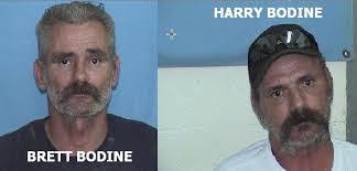 Harry Bodine's Instagram, Twitter & Facebook