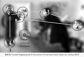 Image result for Extraocular Movement