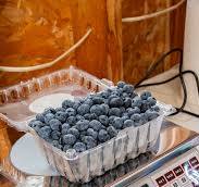 Blueberry season is almost here! 🫐 The busy season at ...