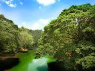 No matter how simple the math problem is, just seeing numbers and equations could send many people running for the hills. 7fkkz1h3auj7om