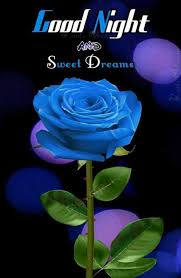 Leaving bed has become the hardest thing for me, mainly because i get to leave the woman of my dreams. 330 Good Night Quotes And Good Night Images Page 19 Of 37
