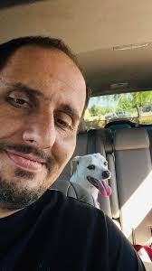 Straydar for Arizona, USA