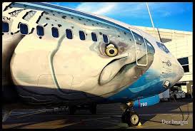 N792as Alaska Airlines 737 490 Salmon Thirty Salmon Alaska Airlines Aircraft Painting Aircraft Art