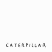 On a white background, we see a colorful caterpillar. Caterpillar Gifs Tenor