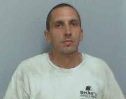 9 indicted over Elizabeth dog-fighting ring, prosecutor says