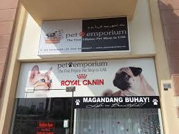 What information is provided to readers about my store? Pet Emporium Pet Food Accessories Stores In Jumeirah Village Circle Al Barsha South 5 Dubai