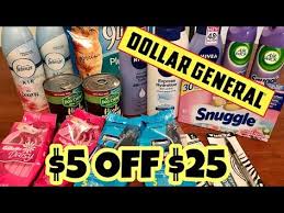 Dollar General 5 25 In Store 50 Off Items Meek S Coupon Life Youtube Dollar General Coupons Make It Yourself