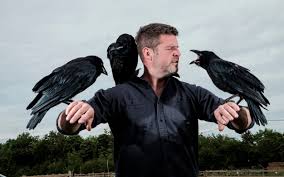 Ravens head coach john harbaugh said he expects bateman (groin) to miss a number of weeks following the wideout's early exit from tuesday's practice, adam schefter of espn reports. Suffolk Pub Landlord Helping Tame Tower Of London Ravens In Bid To Stop Practice Of Clipping Wings