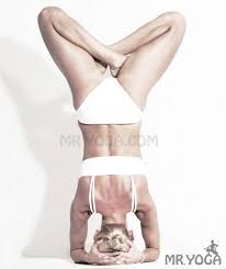 Upward Lotus In Headstand I Urdhva Padmasana In Sirsasana I Inversions Yoga Poses Yoga Inversions Yoga Poses