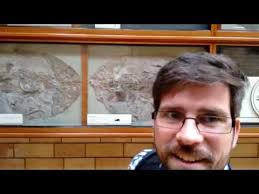 Plesiosaurus Microcephalus found by Mary Anning