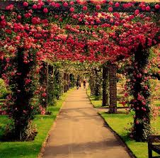 Check spelling or type a new query. Beautiful Garden By Yourssmiley On Deviantart