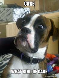 Cake What Kind Of Cake Skeptical Dog Make A Meme