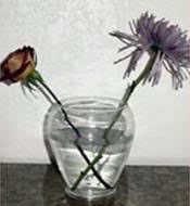Preserving dried flowers with glycerin. Horticulture Landscaping Flower Arrangement Dry Flower Arrangement