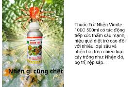 Vimite 10EC