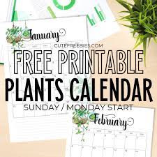 4.8 out of 5 stars 1,132. 2021 Calendar Free Printable Plants Theme Cute Freebies For You