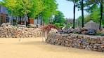 Amsterdam - Artis Zoo (Remake) - YouTube
