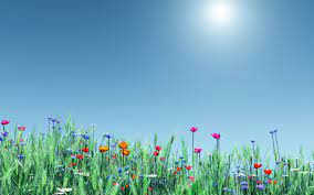 45 Windows 10 Spring Wallpaper On Wallpapersafari You can find more tips on how to customize the windows terminal on my blog. 45 windows 10 spring wallpaper on