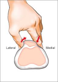Image result for Patella Mobility Test