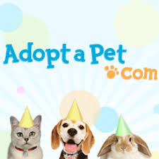 They will make a perfect ad to your family. Cat Adoption Search By Color Age Breed Location And More