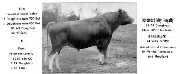 Image result for Aluminum 1990 Foremost Dairies