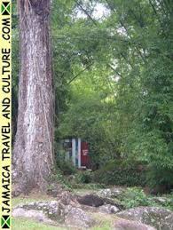 Castleton Botanical Gardens