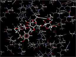 Image result for Vernonia congolensis