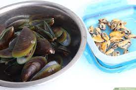 4 Ways To Store Mussels Wikihow