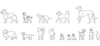 autocad kopek tefrisleri kopek autocad hayvanlar