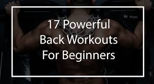 17 calisthenics back workouts for