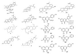 Image result for Tetracera boiviniana