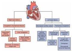 Left Sided Heart Failure Diagram Cardiac Nursing Icu
