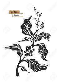 Maybe you would like to learn more about one of these? Vector Coffee Branch With Leaf And Coffee Beans Botanical Shape Royalty Free Cliparts Vectors And Stock Illustration Image 105312890
